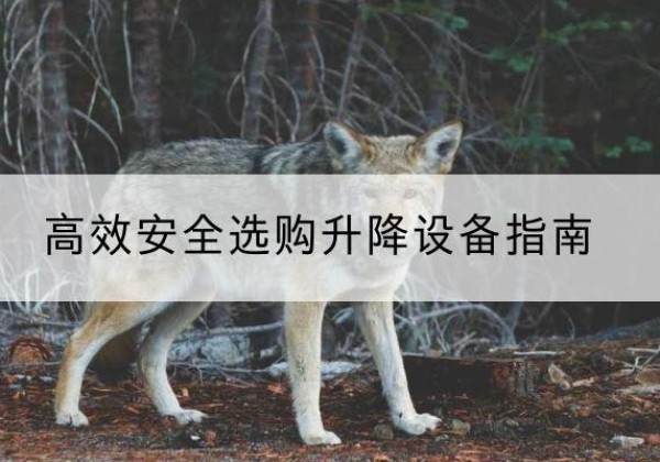 揭阳升降货梯厂家推荐-*安全选购升降设备指南