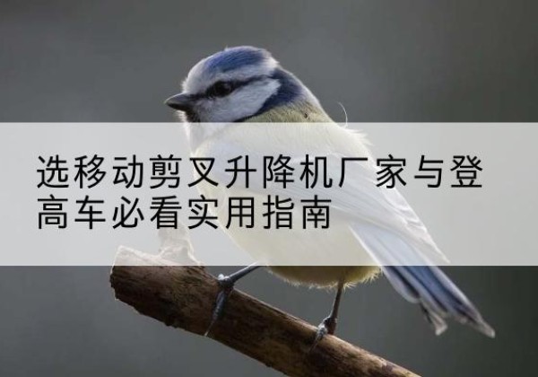 揭阳电动升降机厂家-选移动剪叉升降机厂家与登高车必看实用指南