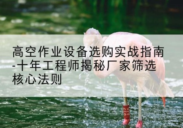 揭阳剪叉式升降机厂家-高空作业设备选购实战指南-十年工程师揭秘厂家筛选核心法则